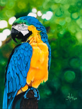 Load image into Gallery viewer, Parrot